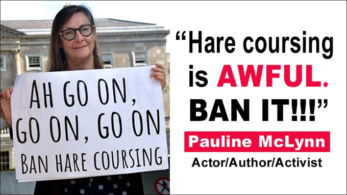 'Hare coursing is AWFUL. Ban it!!!' - Actor/Author/Activist Pauline McLynn | Please sign the petition change.org/p/ban-blood-sp… and urge @MichealMartinTD @SimonHarrisTD @EamonRyan @DarraghOBrien to #BanHareCoursing