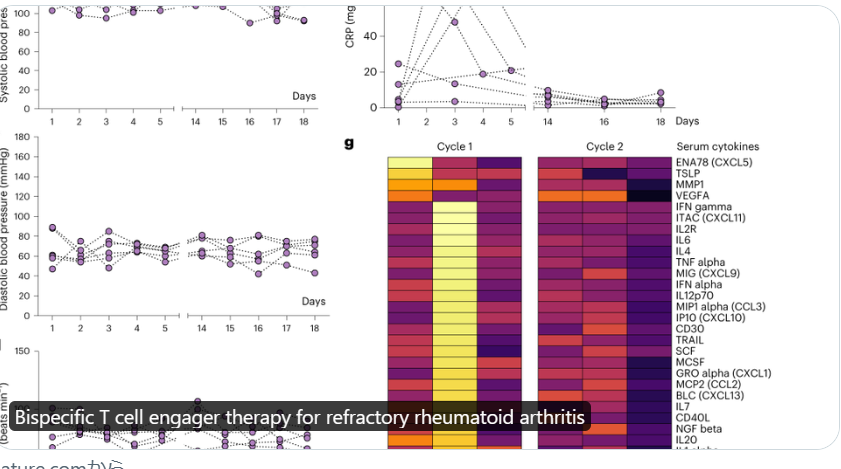 『Bispecific T cell engager therapy for refractory rheumatoid arthritiS』

Nature Medicine 　26 April 2024

ブリナツモマブは、すべての患者においてRAの臨床活動期の迅速な低下をもたらし、超音波およびFAPI-PET-CTでの滑膜炎改善、自己抗体減少を達成しました。