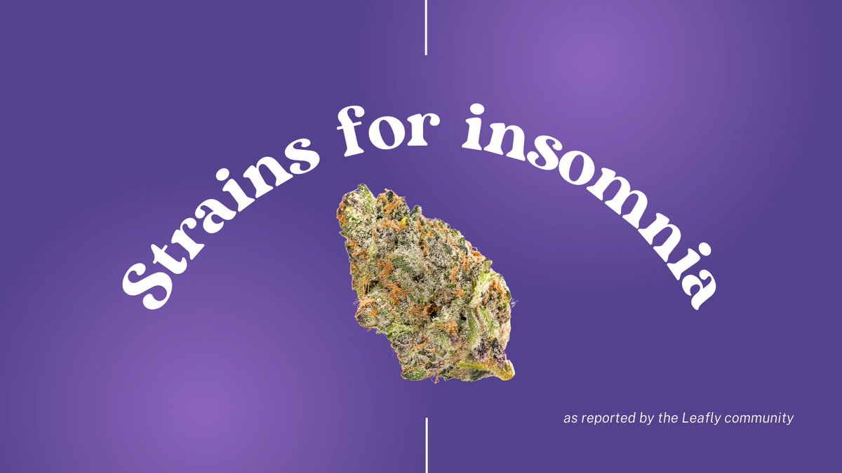 The strains most reported to help with #insomnia 💤 💤 bit.ly/42qPvcL