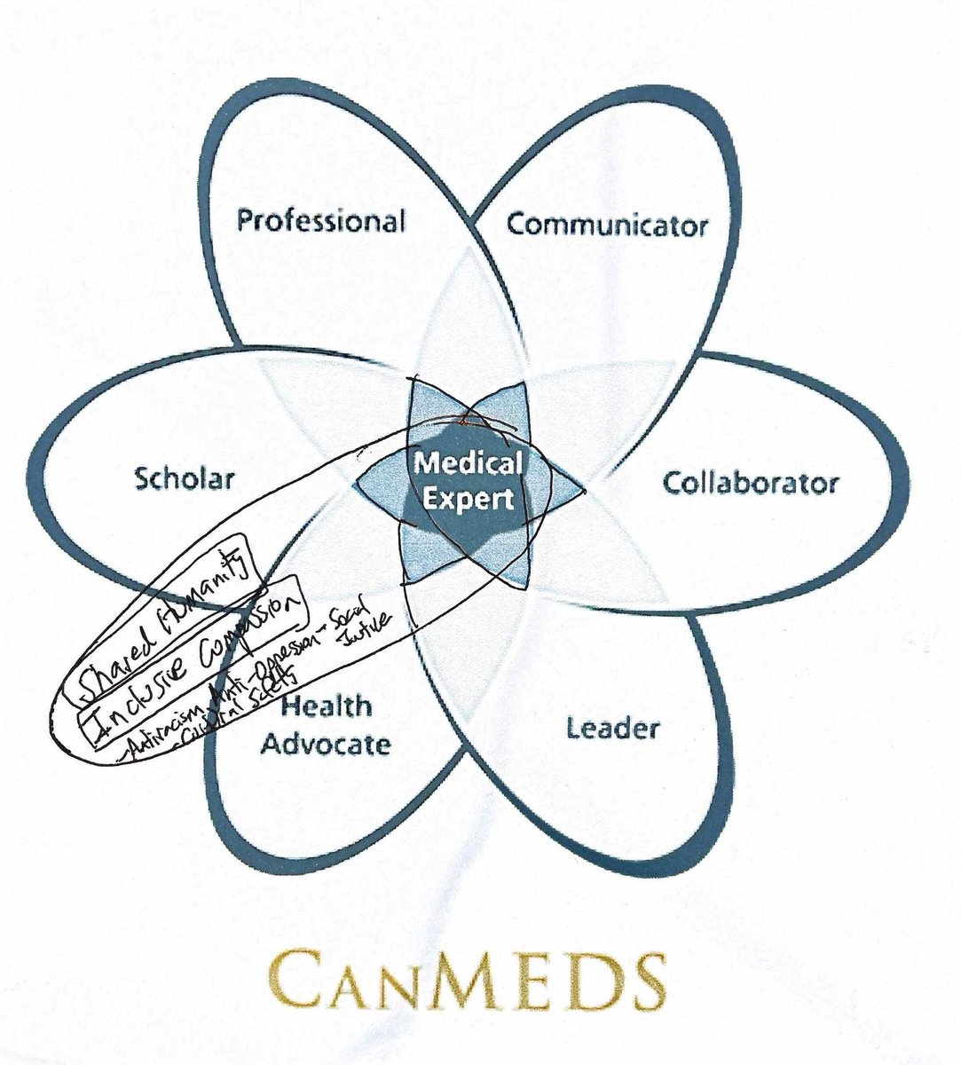 After 23 years of work with vulnerable populations globally, much social advocacy and practise from minor ailment to extremis, I agree CanMEDS needs adjustment with the centrality of MD as Medical Expert. My model is not as educational expert but as regular MD. @Royal_College