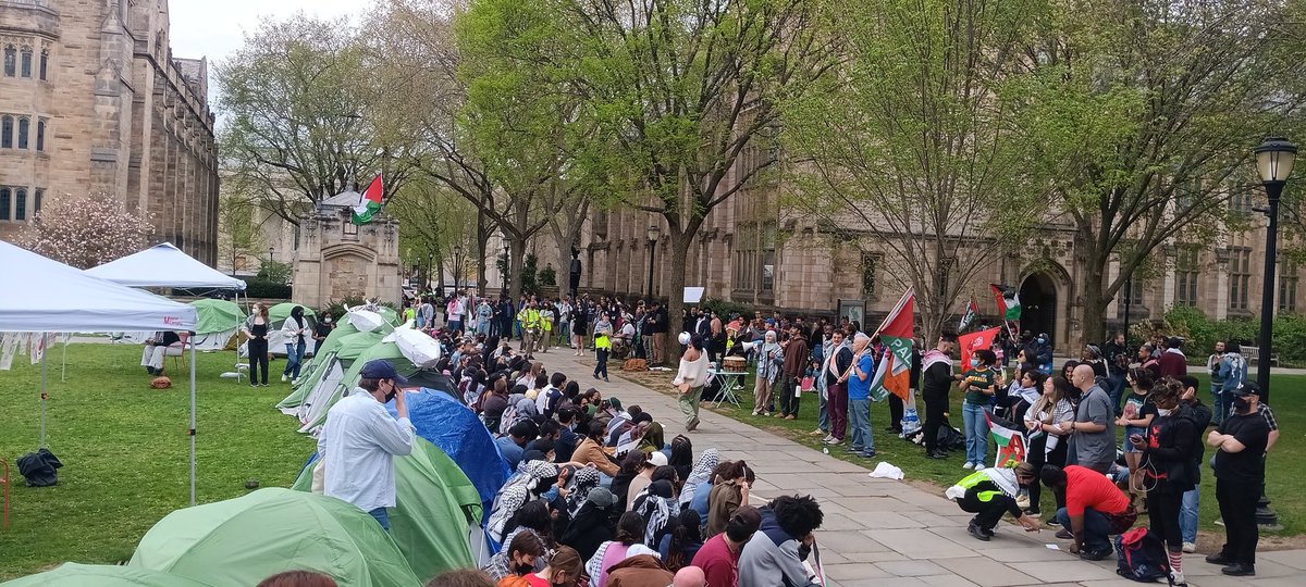 Yale students have rebuilt their camp on Cross Campus ✊️🇵🇸