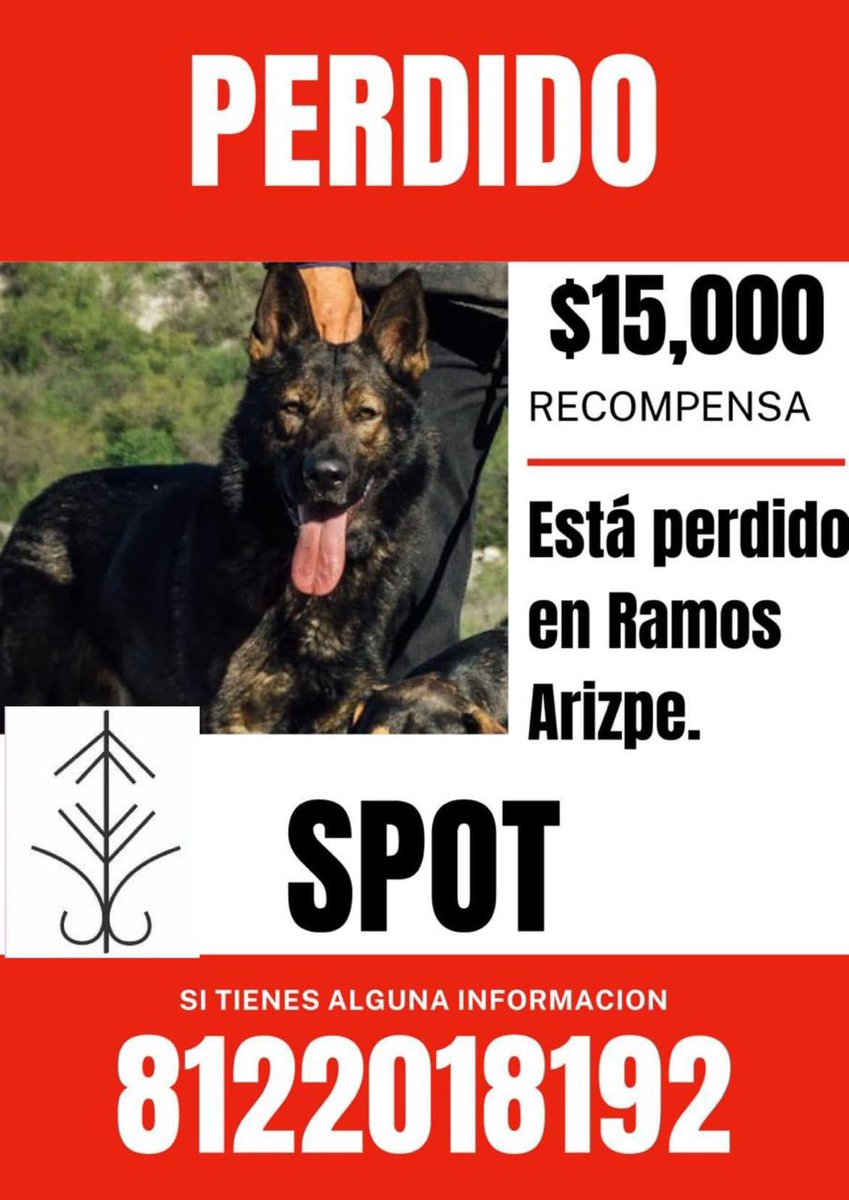 SPOT se perdió en un recorrido en Paso de Guadalupe y Mariposas, Rinconada, Ramos Arizpe, es un perro muy querido para la familia, es amistoso y noble. Si vives por la zona y puedes resguardarlo, estamos ofreciendo una recompensa de $15,000 pesos.