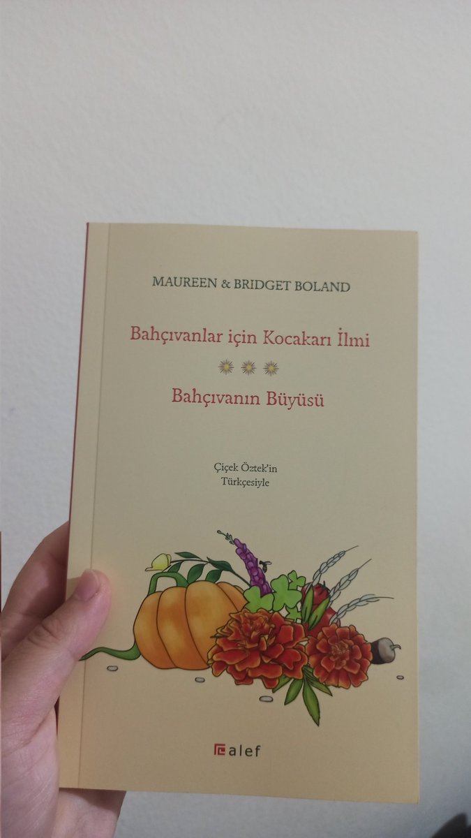 Ders kitabı çalışma kitabı kaynak kitap dışında aylar sonrasında elime aldığım o normal kitap