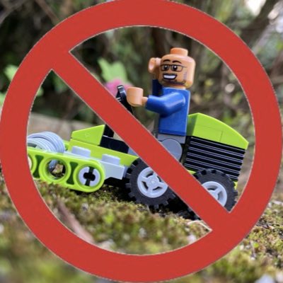 #NewProfilePic 
#NoMowMay 
#30DaysWild
#NoMowAllSummer 
#365DaysWild