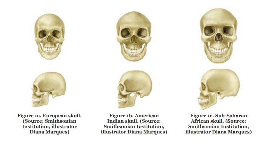 @beatmastermatt 'Forensic anthropologists determine the ancestry of a skeleton by examining the morphology, or shape, of the skull and by taking measurements of the skull vault' 
--Smithsonian National Museum of Natural History

You're embarrassing yourself
naturalhistory.si.edu/sites/default/…