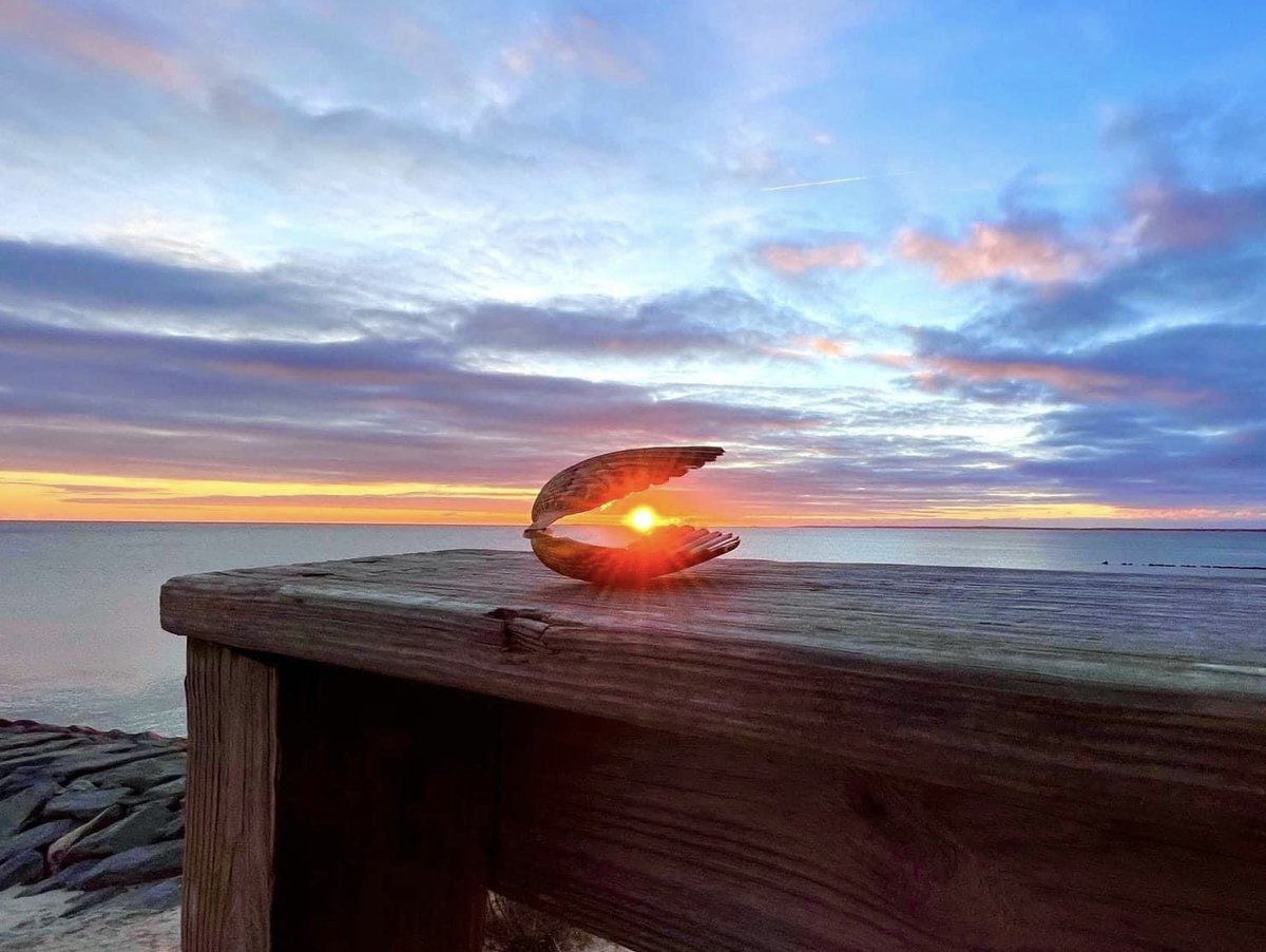 Sunrise thru the quahog shell
By ~ Ocean Eversley