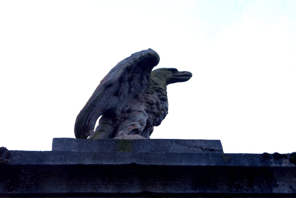 One of the gate pillar eagles at the entrance to St. Patricks College Thurles.