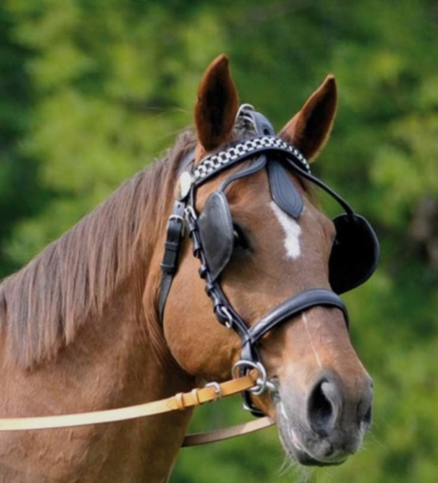 Rasheen (@rasheendavis) on Twitter photo 