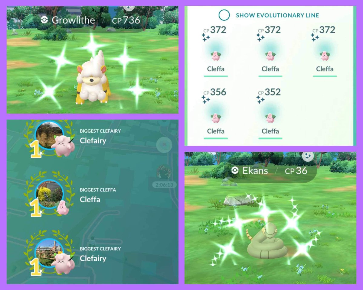 Wys1wyg__'s tweet photo. ✨🥚CLEFFA HATCH DAY!!🥚✨
Today’s total was 5 shinies from 25 🥚
Also managed a shiny ekans and growlithe. I hope your cleffa hatch day is going/went well! Sending lots of shiny luck!
#PokemonGO #PokemonGOApp #ShinyPokemon #ShinyCleffa https://t.co/yjZNA6w6Vi