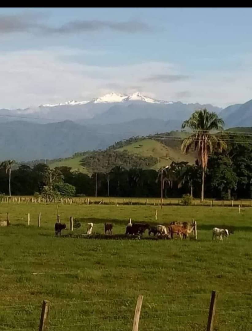 Miren un nevado de Mérida visto desde Barinas ❤️