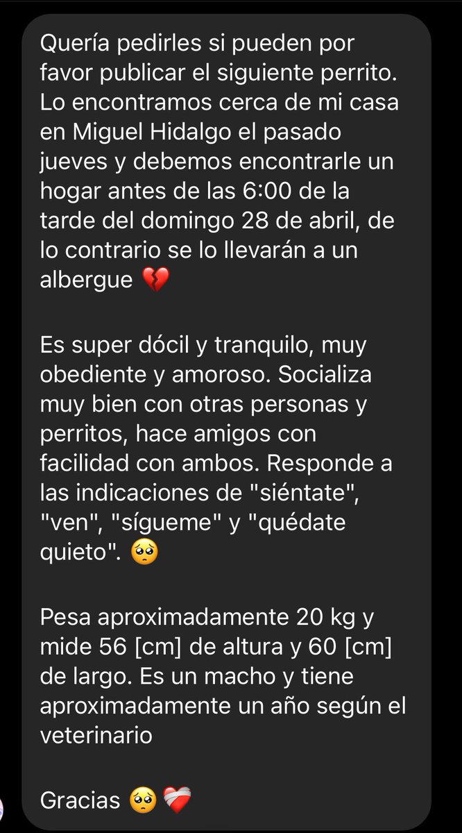 ¿Alguien que le pueda dar #HogarTemporal o #AdopciónResponsable de emergencia?🆘🚨🚩@Perrosenlacalle @MajolaB @carolhsolis @GarraAmor @AmorSinRaza @Alina_Gag @mascotamx @firulaisasalvo @karinalf14 @azelarobinson @QUODOMINE @beca25240 @Elgatoquetuitea @QuePocaMadre_Mx @quorum_mx