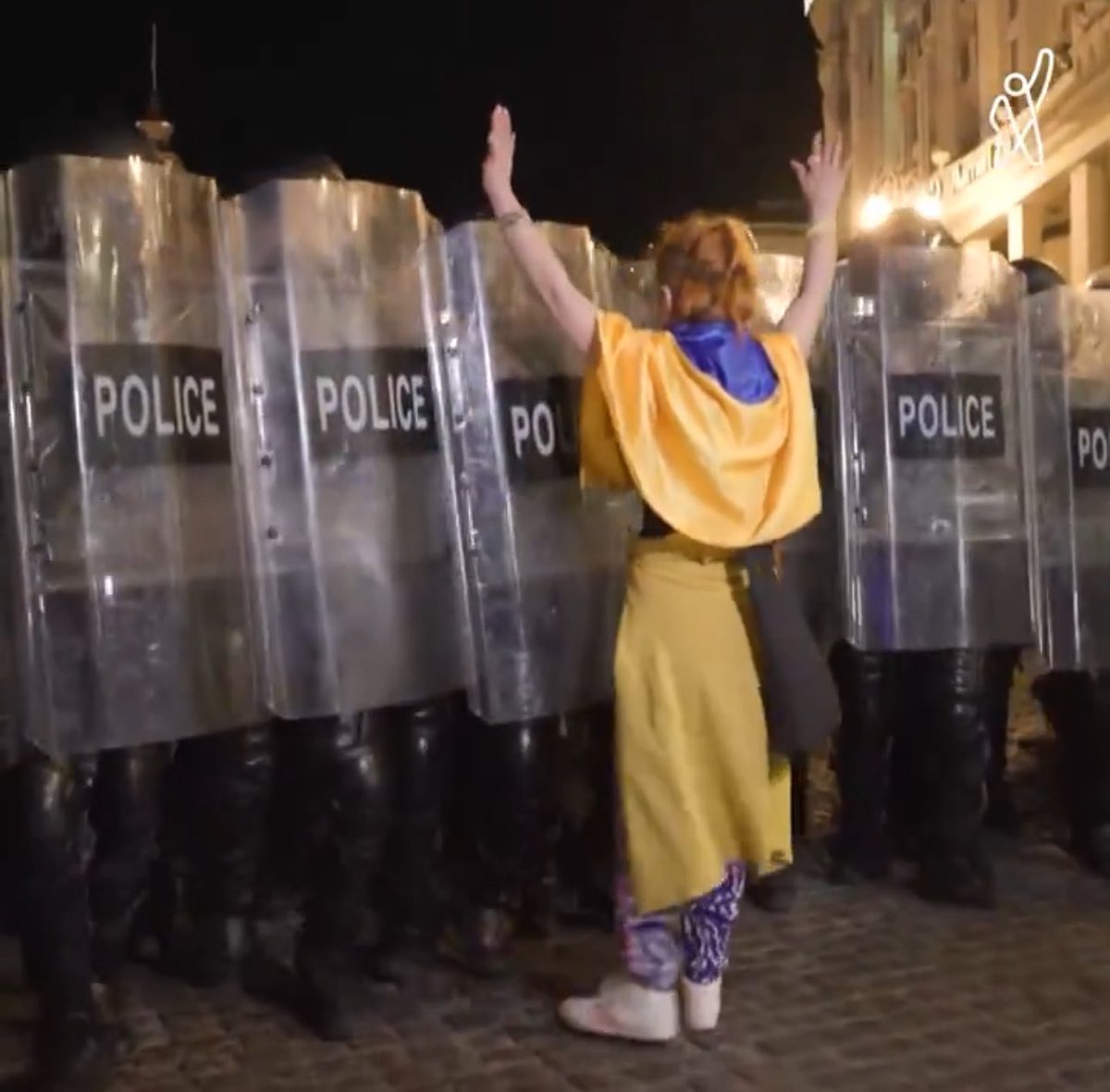 Wow! I think this will be the photo of the Georgian protests. Brave woman facing off with government riot thugs