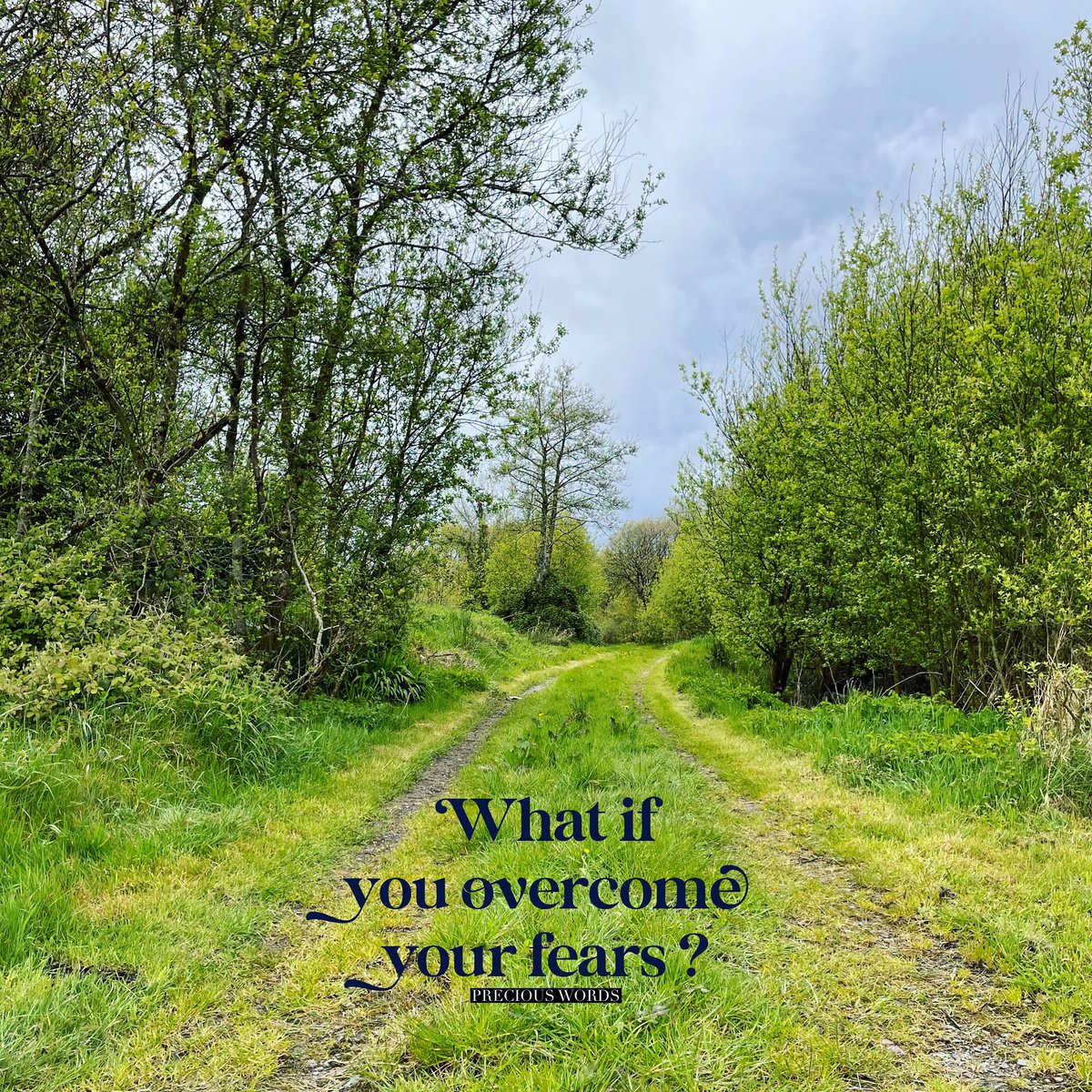 What if you overcome your fears?
#whatif #overcome #overcomeyourfears #preciouswordstoliveby #preciouswords
