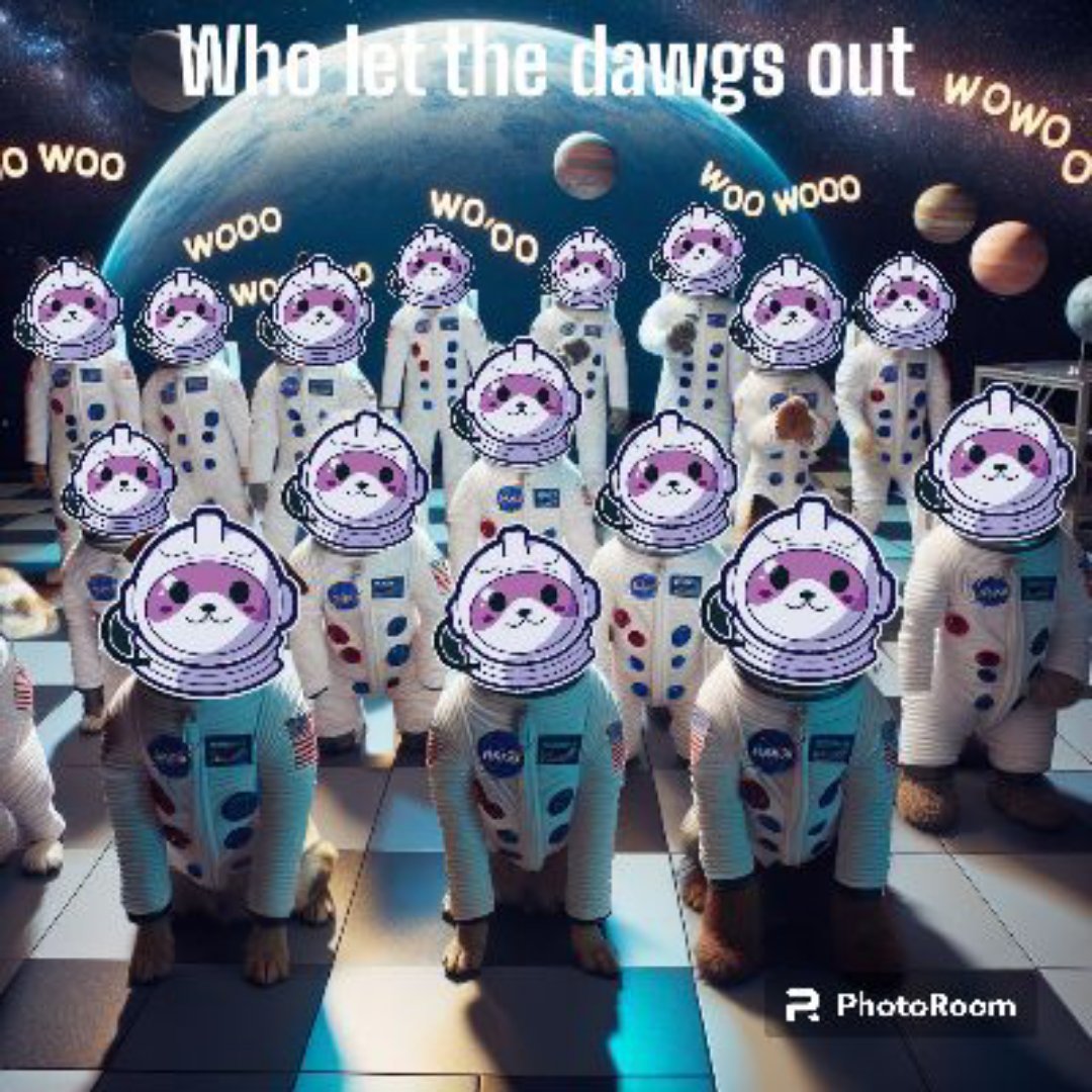 At spacedawgs.io we are now counting down. 10,9,8,7........ We let the #dawgs out. 

All aboard. Mission moon. 

#Cryptocurrency #Blockchain
#Altcoins
#NFTs #CryptoNews #HODL
#CryptoCommunity
#CryptoInvesting #BTC  #ETH  #CryptoTwitte