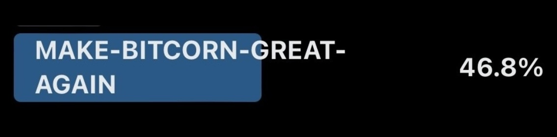 The community has spoken🔥

MAKE-BITCORN-GREAT-AGAIN <- Pepe Runes Ticker ✅

More info on our plans soon!👀

#BTCPEPE $BPEPE