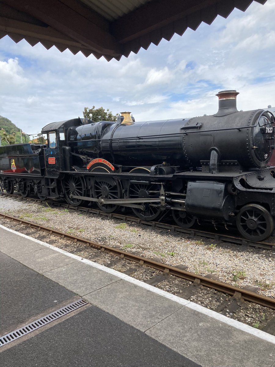 @LokiBladeMoo @CheltenhamRaces They are so amazing! We started going on the heritage railway at Minehead when we go on holiday. The sheer size of them!! This 1 is our favourite, she’s having some serious repairs done so haven’t seen her for a while (they’re all girls apparently) xxx