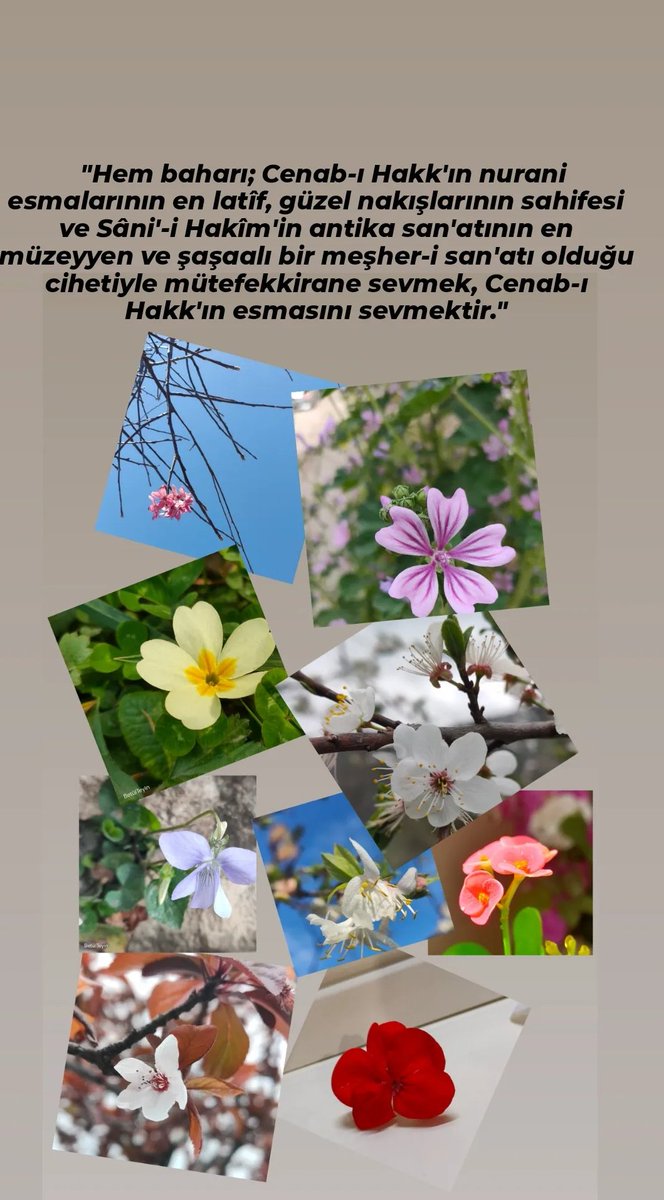 'Hem baharı; Cenab-ı Hakk'ın nurani esmalarının en latîf, güzel nakışlarının sahifesi ve Sâni'-i Hakîm'in antika san'atının en müzeyyen ve şaşaalı bir meşher-i san'atı olduğu cihetiyle mütefekkirane sevmek, Cenab-ı Hakk'ın esmasını sevmektir.'