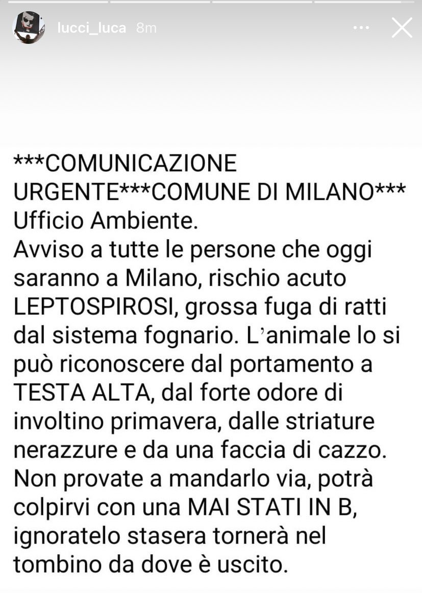 Milan Zone tweet media