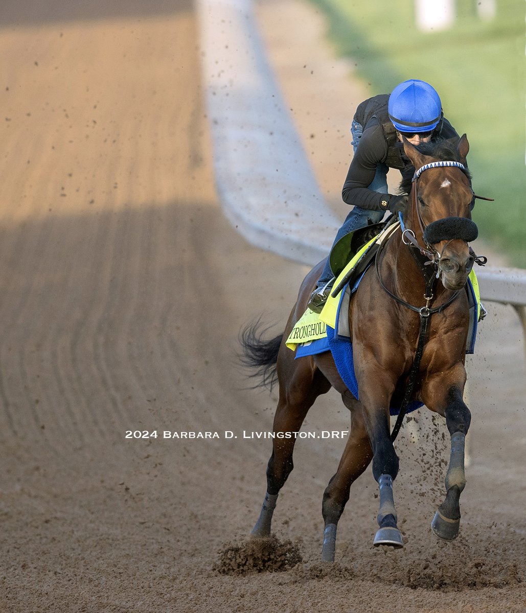 STRONGHOLD (Ghostzapper - Spectator, by Jimmy Creed) worked this AM. The Phil D'Amato trainee has won his two 2024 starts, including the 4/6 Santa Anita Derby (Overall record 6-3-3-0). Per DRF's Mike Welsch: STRONGHOLD in co. 5F 35.71 59.78 easily out 1:13.56 #KentuckyDerby150