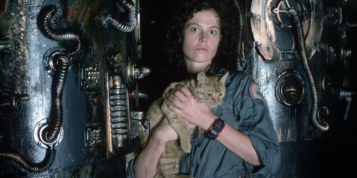 Just watched the 45th-anniversary re-release of 'Alien'. My favorite character is now Jones the cat.