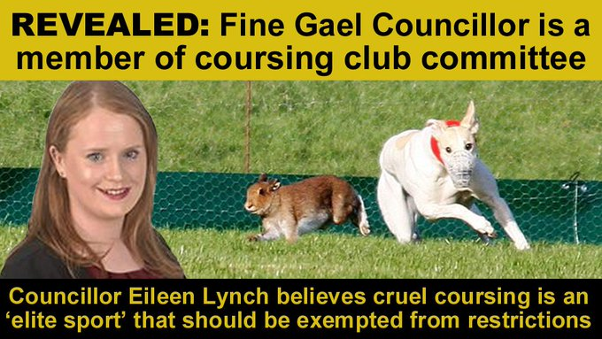 In 2020, it emerged that #LE2024 candidate Cllr Eileen Lynch (@FineGael, #Cork #Macroom) became a member of the Irish Coursing Club “executive committee” after being proposed by Macroom Coursing Club banbloodsports.wordpress.com/2020/10/30/rev… ❌ #LE24 Reject candidates who support animal cruelty