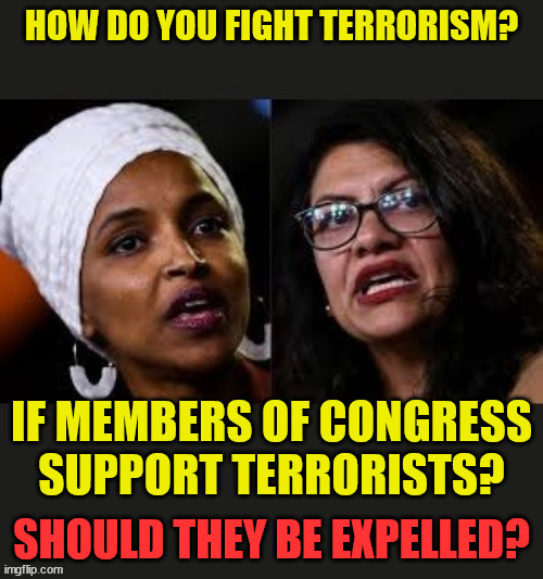 In your opinion, should Tlaib and Omar be part of the law making process? Terrorist sympathizers? Should they be expelled?