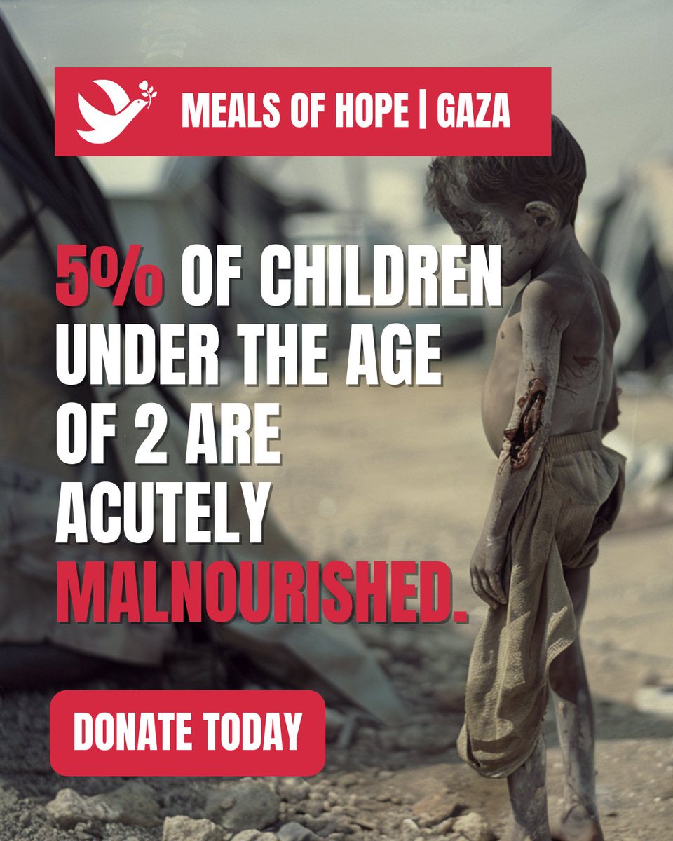 Critical Condition: 5% of children under the age of 2 in Gaza are acutely malnourished. This alarming rate of malnutrition requires urgent attention and action. Let's nourish the future. 🍼 #ChildMalnutrition #GazaChildren #ActNow #EndChildHunger