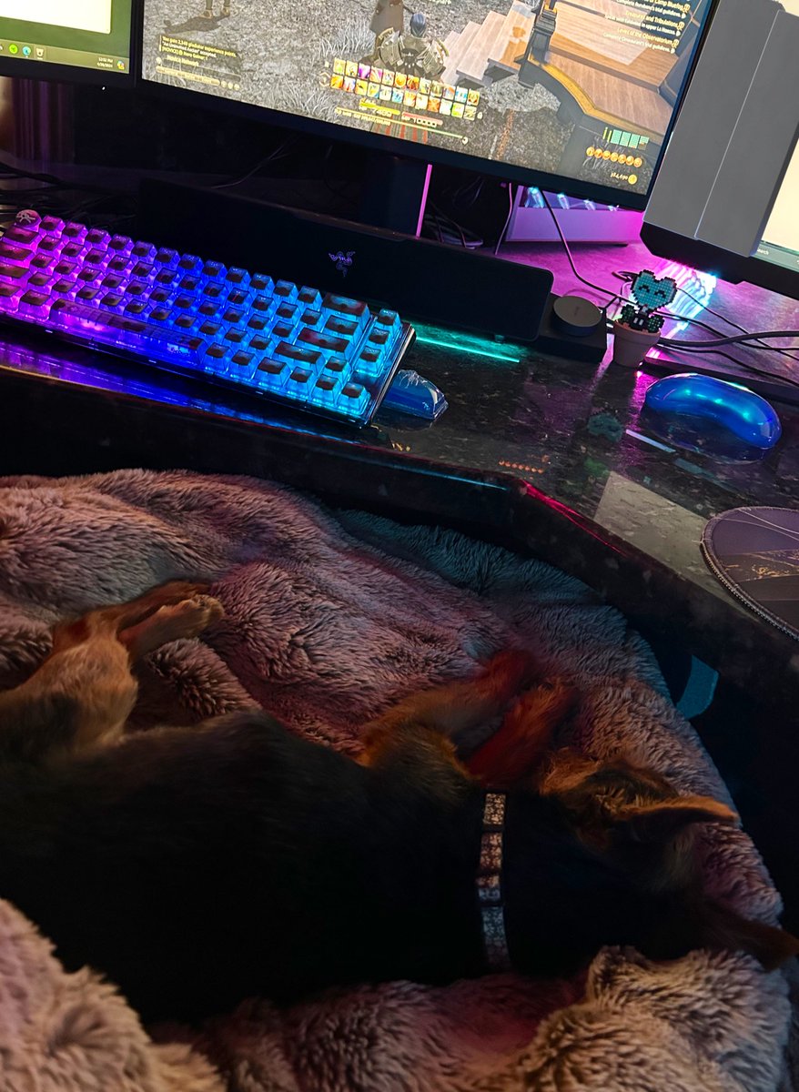 Rupert has been grinding on FF14 this weekend 😮‍💨