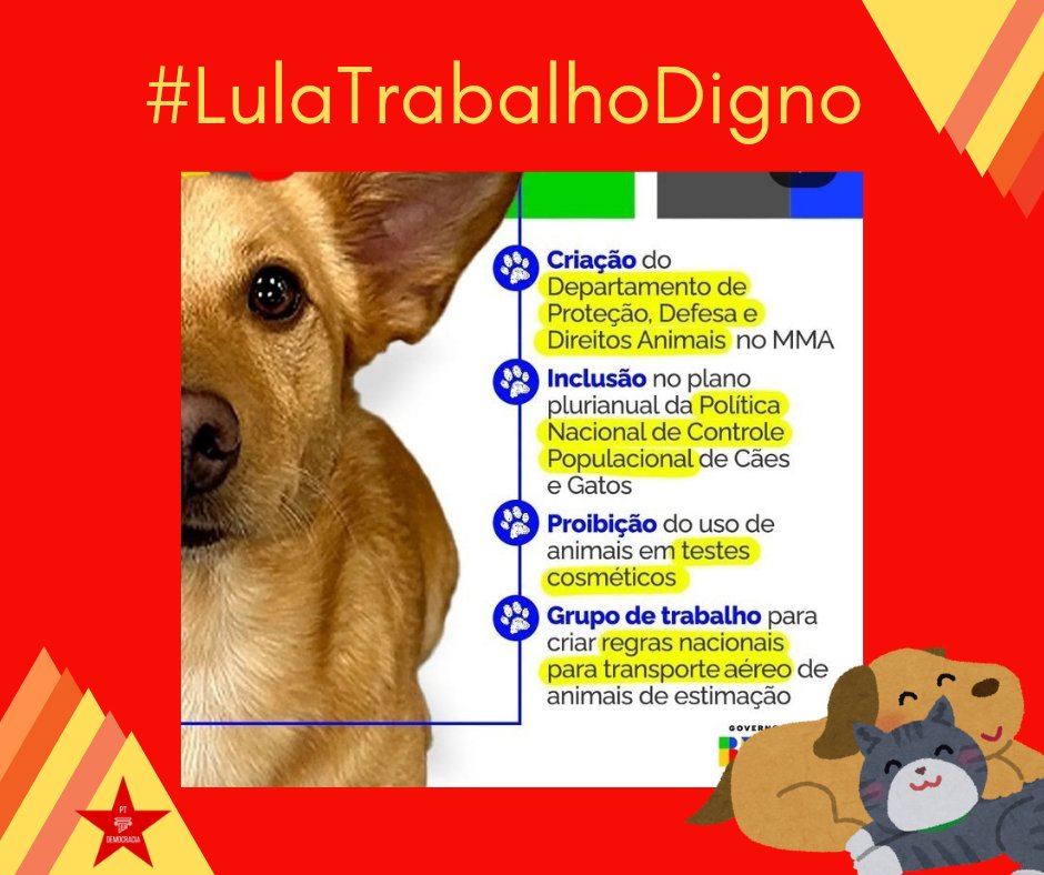 A busca por tratamento ético e justo para nossos amigos de 4 patas 🐶🐈 é uma prioridade para o governo Lula. #LulaTrabalhoDigno @PTDemocracia13 Animal não é bagagem, merece ser tratado com respeito, ética e carinho.