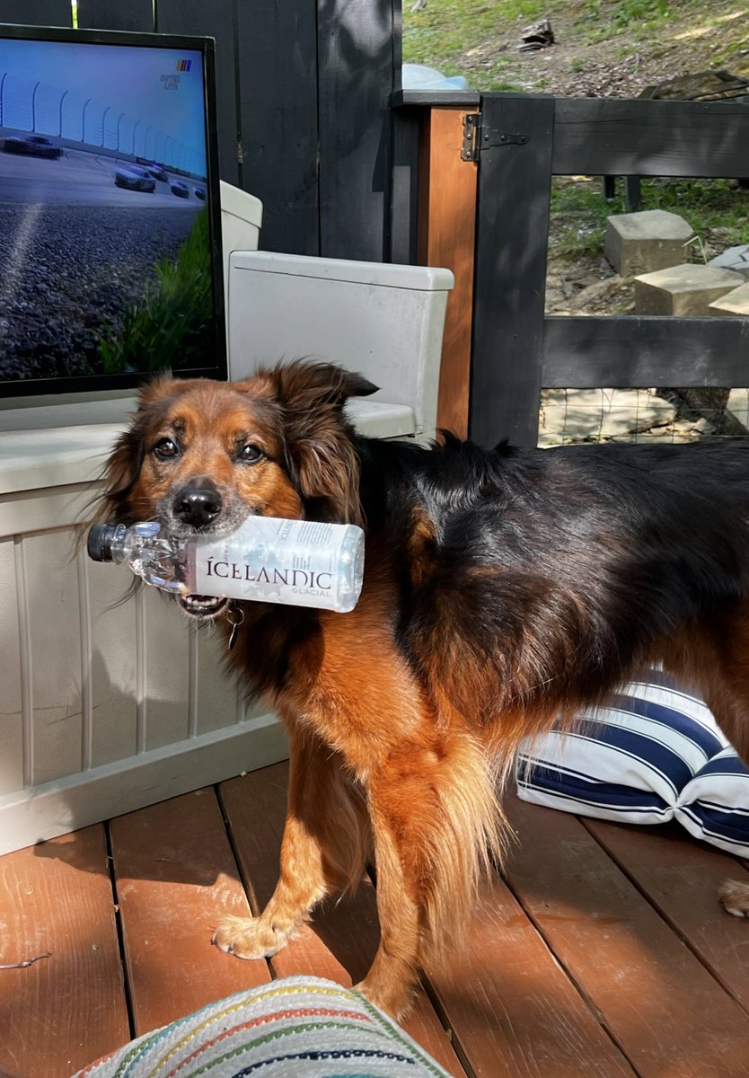 Even Reddog says @IcelandicWater is the superior water choice 🙌🏽💦