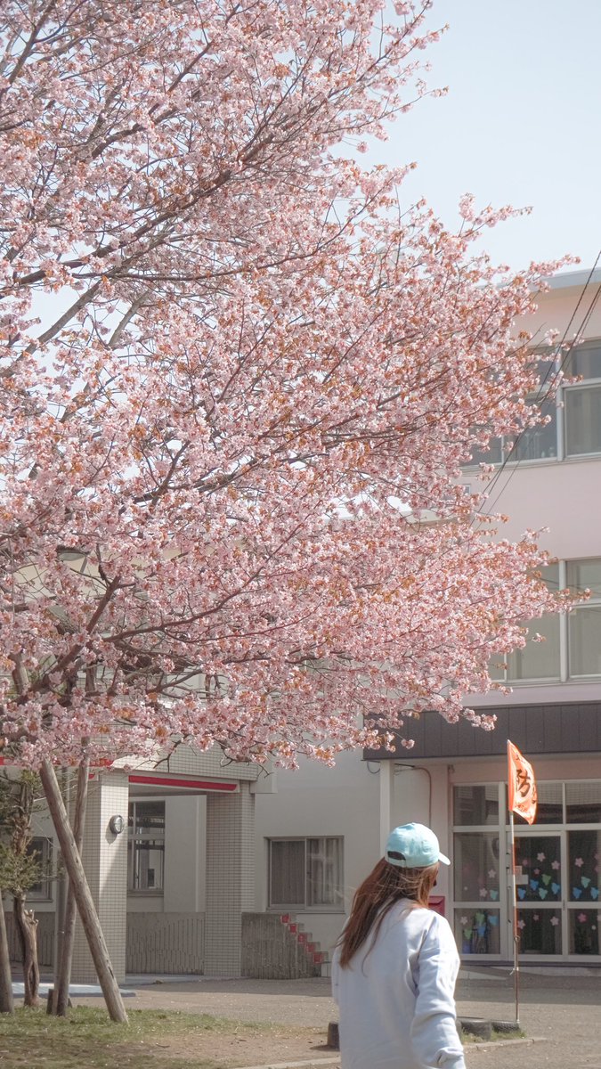 What a nice holiday ~ ☺️✨🩵🖤 #hokkaido #lovestory #sakura #GW