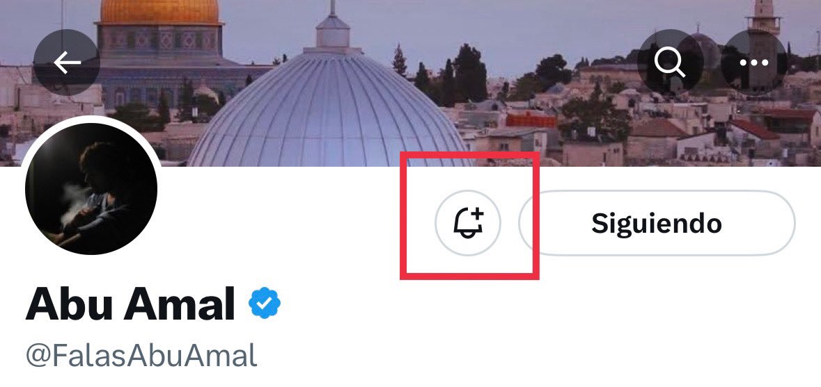 Si quieres saber lo que realmente ocurre en #Palestina, activa la campana de notificaciones en mi perfil. Cada cierto tiempo, “X” elimina tus seguidores. Además, los algoritmos están inclinados para los propagandistas sionistas. #Gaza