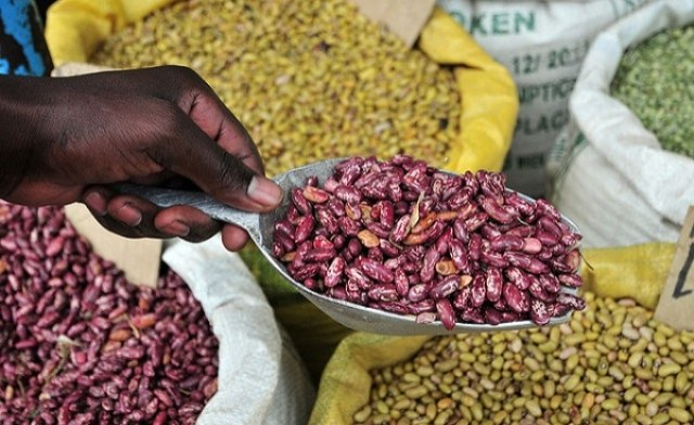 The largest producer of beans in Africa. 1. Tanzania (1.02 million MT) 2. Uganda (0.88 million MT) 3. Kenya (0.62 million MT) 4. Ethiopia (0.51 million MT) 5. Rwanda (0.42 million MT)