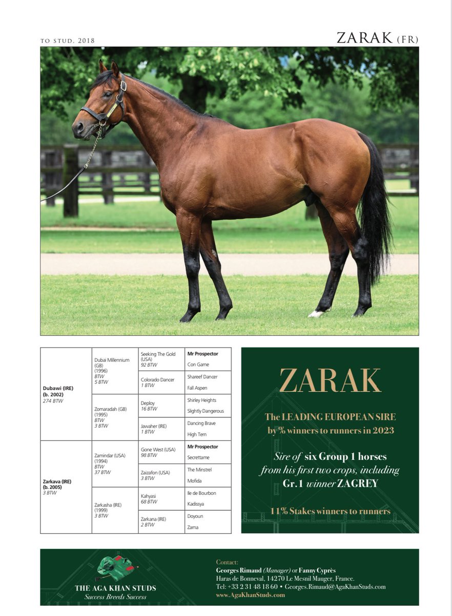 An updated pedigree for Haya Zark who takes the first Group 1 contest of the European season - the Prix Ganay @paris_longchamp. Already a three-time Group 3 winner this is his first top-level success and he’s a second Group 1 winner for his sire Zarak @AgaKhanStuds. Owned & bred…