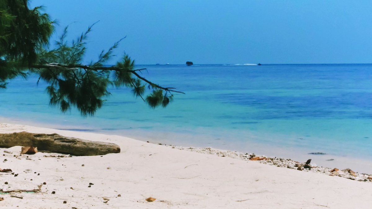 QP a peaceful place to get away from it all 🕊️ Secluded beach of a small island nearby 🏖️ The perk of living in a country with over 17k islands 😎