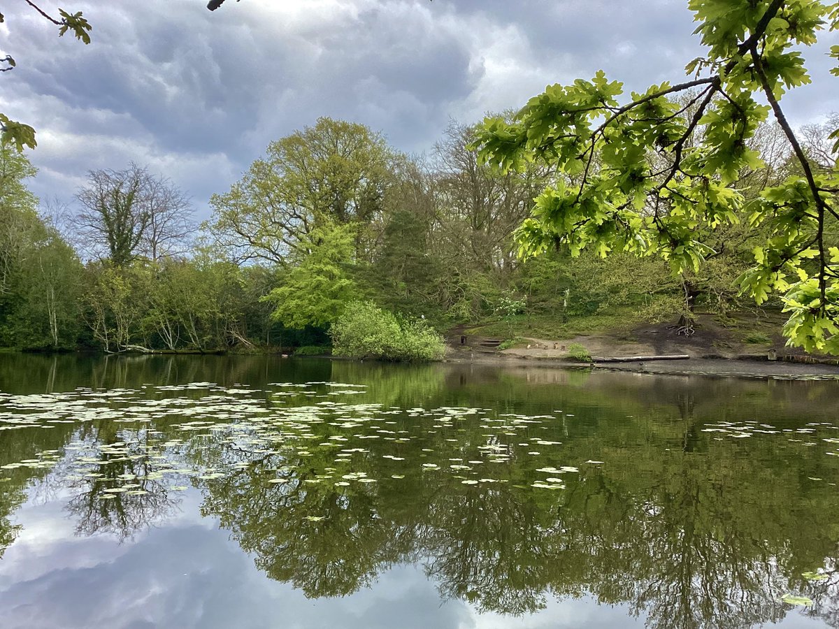 Keston Ponds this afternoon - so pleased to see the heron still there - “still still” there :o) It took off and flew down towards Caesar’s Well. #spottheheron #keston #sunday #cheerupheron @bbcweather @SallyWeather @ChrisPage90 @every_heron @ianyoung33 @CathyRLowe @Natures_Voice