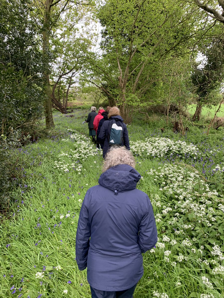 A varied deanery pilgrimage meeting people in Norwich North - including a social club, new housing estates, a bluebell walk, cowslip filled churchyard and lunch @YMCANorfolk