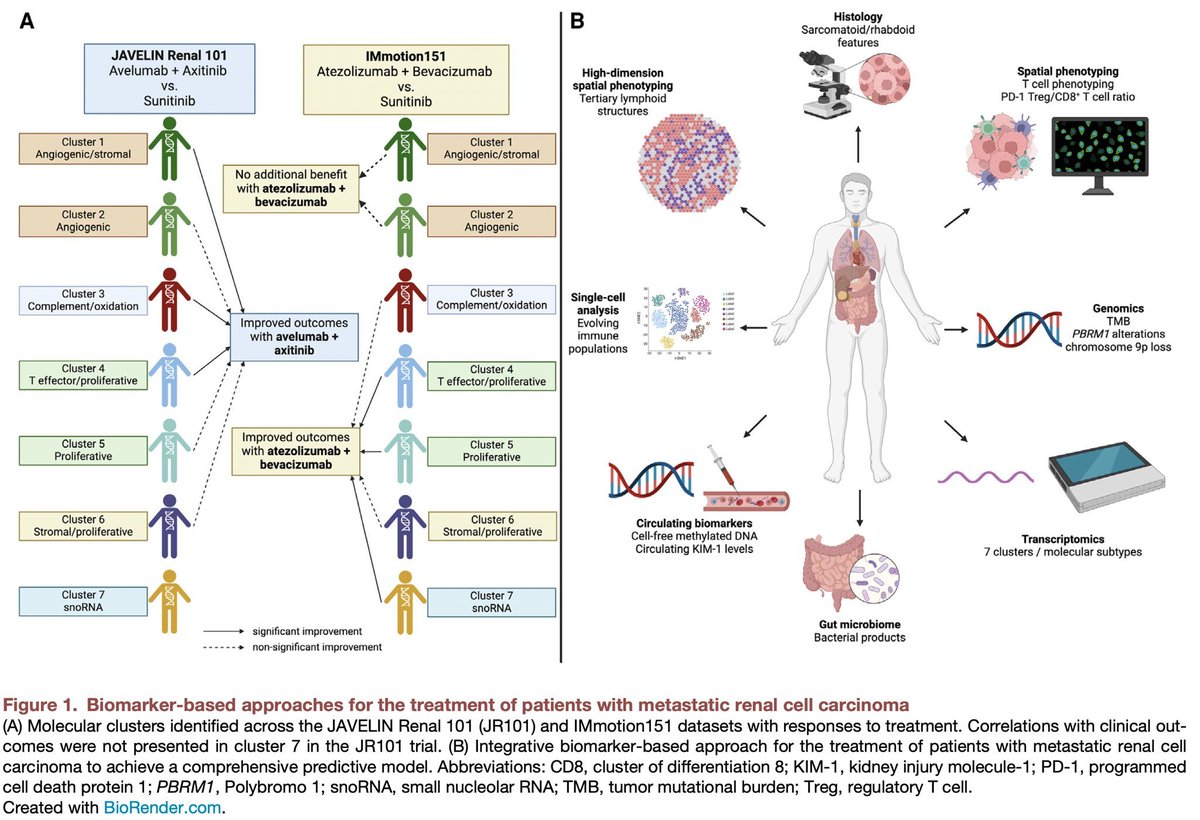 Beautiful commentary - I particularly like the figure below that juxtaposes data from #IMmotion151 from @motzermd et al against data from #JAVELIN100 from @ReneeSaliby @DrChoueiri @BraunMDPhD et al. Very nicely done, @chadihc98 @neerajaiims @huntsmancancer!