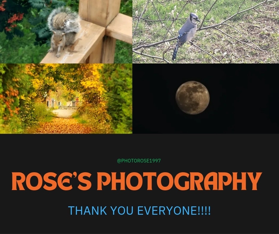 Also, a huge thank you for supporting me on my photography journey! I'm so grateful to support so many of you who are on my feed. All of your pictures are so talented & wonderful! Keep on doing what you do, and keep shining!❤️ ILY!