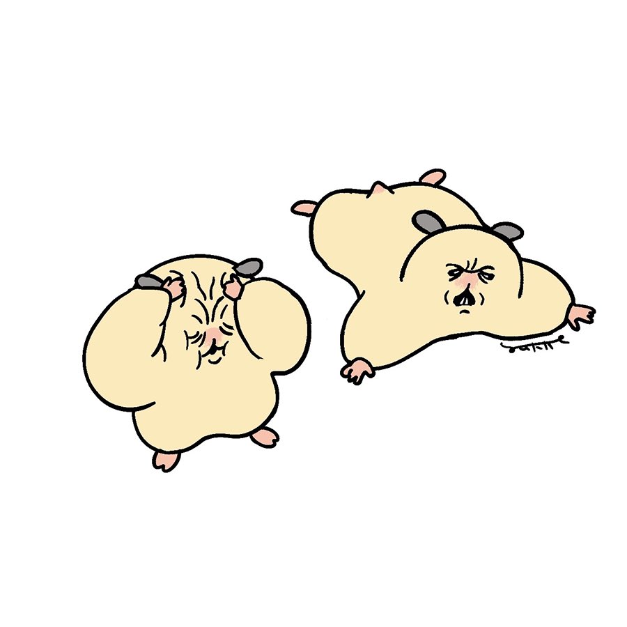 ムキムキのハムちゃん
