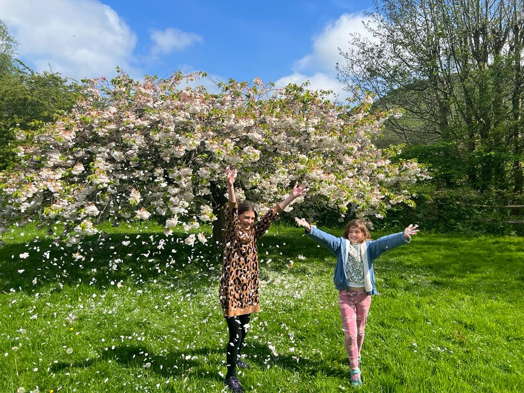 Celebrate #BrightonTreeFestival 🌳 May 11th–12th & May 18th–19th Two weekends of free, family friendly events to highlight the value of our city's trees. Throughout May - Tree Trails, Photography Competition, & the Champion School Trees project. cpresussex.org.uk/tree-festival/