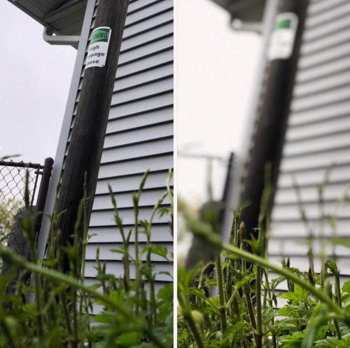 High Hoppage tweet media