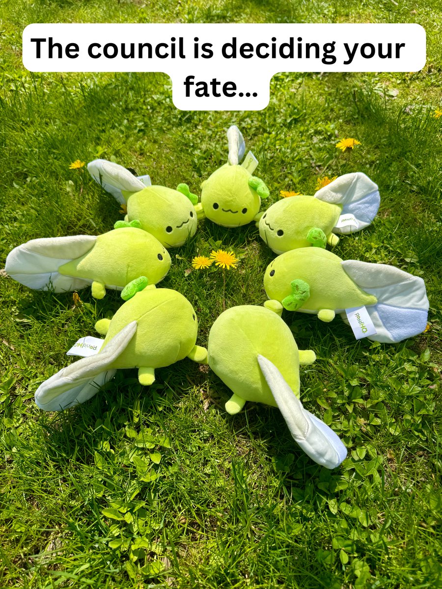 PondHQShop's tweet photo. Oh no…. https://t.co/XuhpbzQ5gO