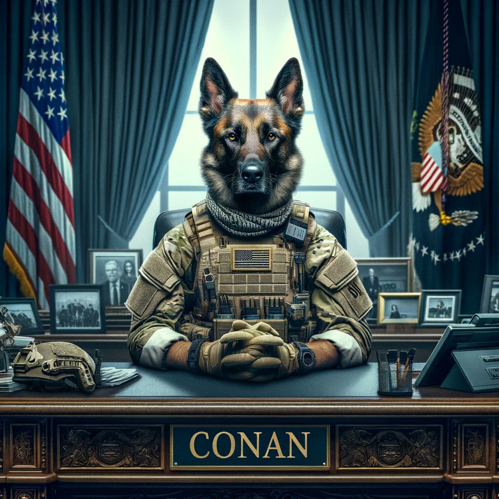 Conan_erc_20's tweet image. $CONAN for VP🐾🐕