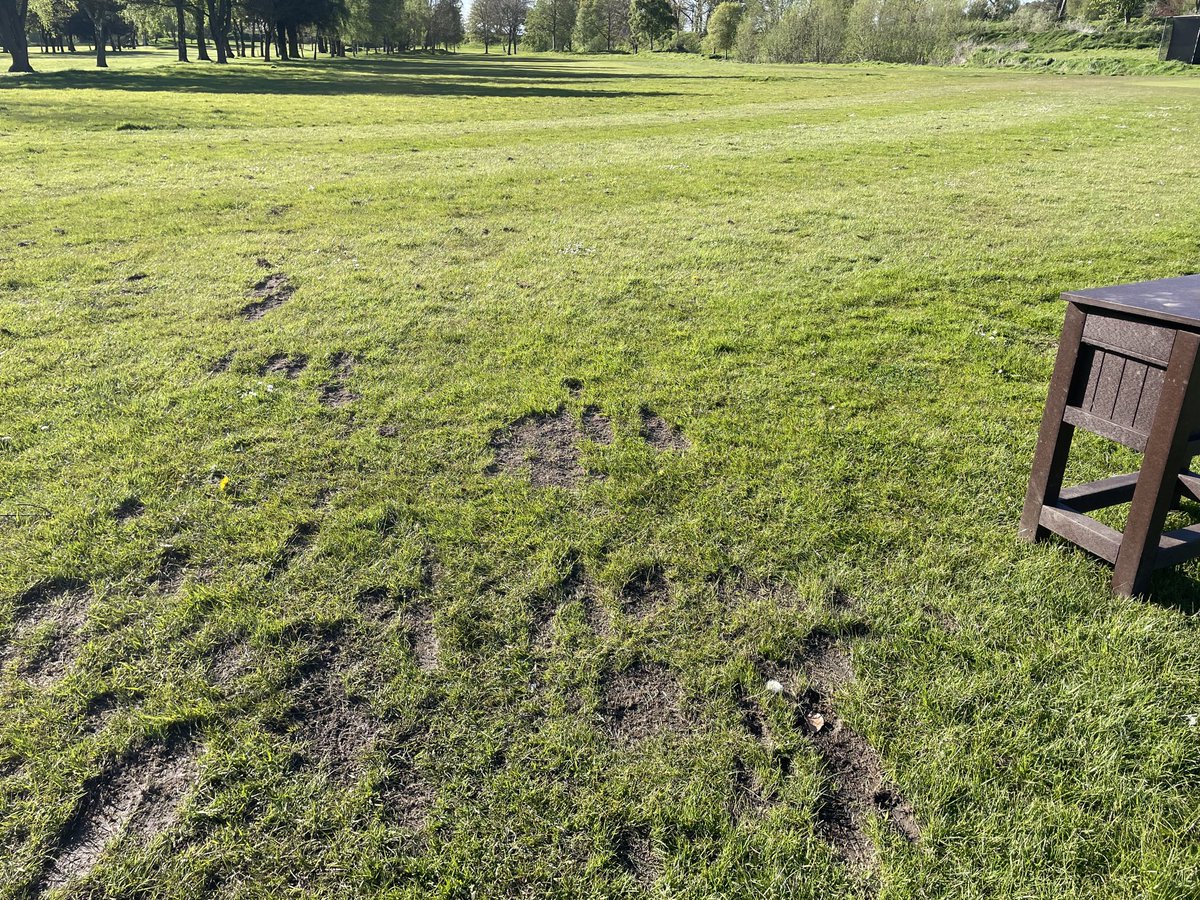 Some members don't deserve a grass practice ground....use the new divot mix ffs 🙈....⁦@lymmgolfclub⁩ ⁦@LymmGCGreens⁩ #golf #etiquette