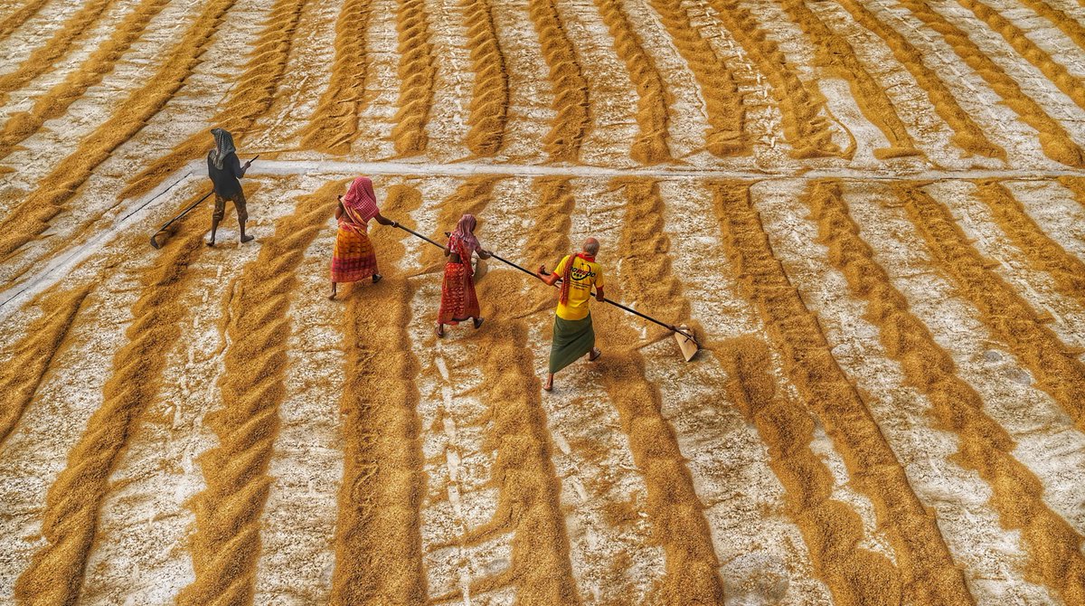 Dibakar Roy tweet media