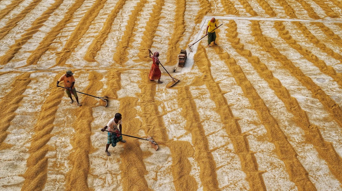 Dibakar Roy tweet media