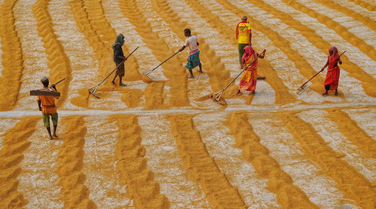 Dibakar Roy tweet media