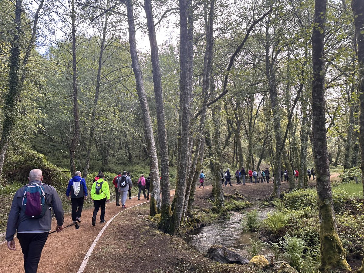 Y hoy tocó caminar por una buena causa,reivindicando que el Camiño de San Rosendo sea declarado Camiño Xacobeo. Una peregrinación que unió a vecinos de 8 municipios hasta Celanova.