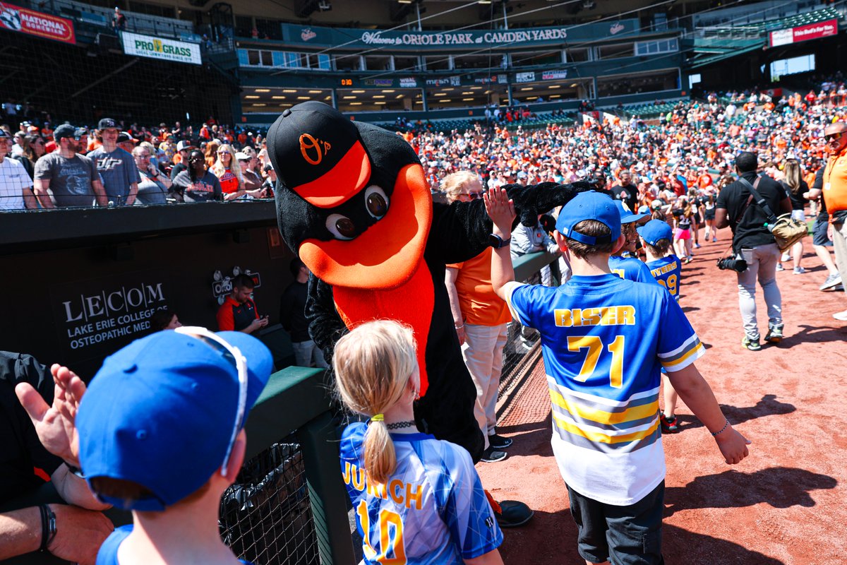 OrioleBird tweet picture